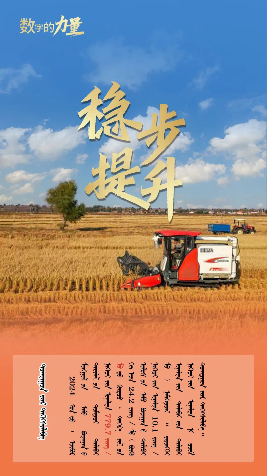 1224北疆粮仓底气足6.jpg 1224北疆粮仓底气足6.jpg