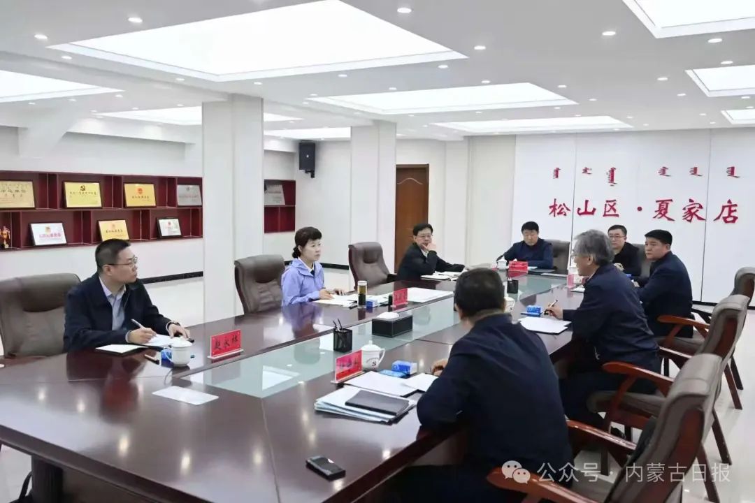 王莉霞在赤峰市指导学习教育并调研3.jpg