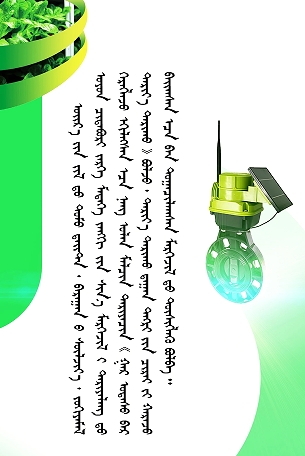 11.png