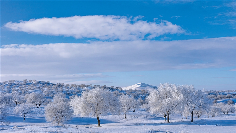 雪景.jpg 雪景.jpg