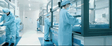 22.gif