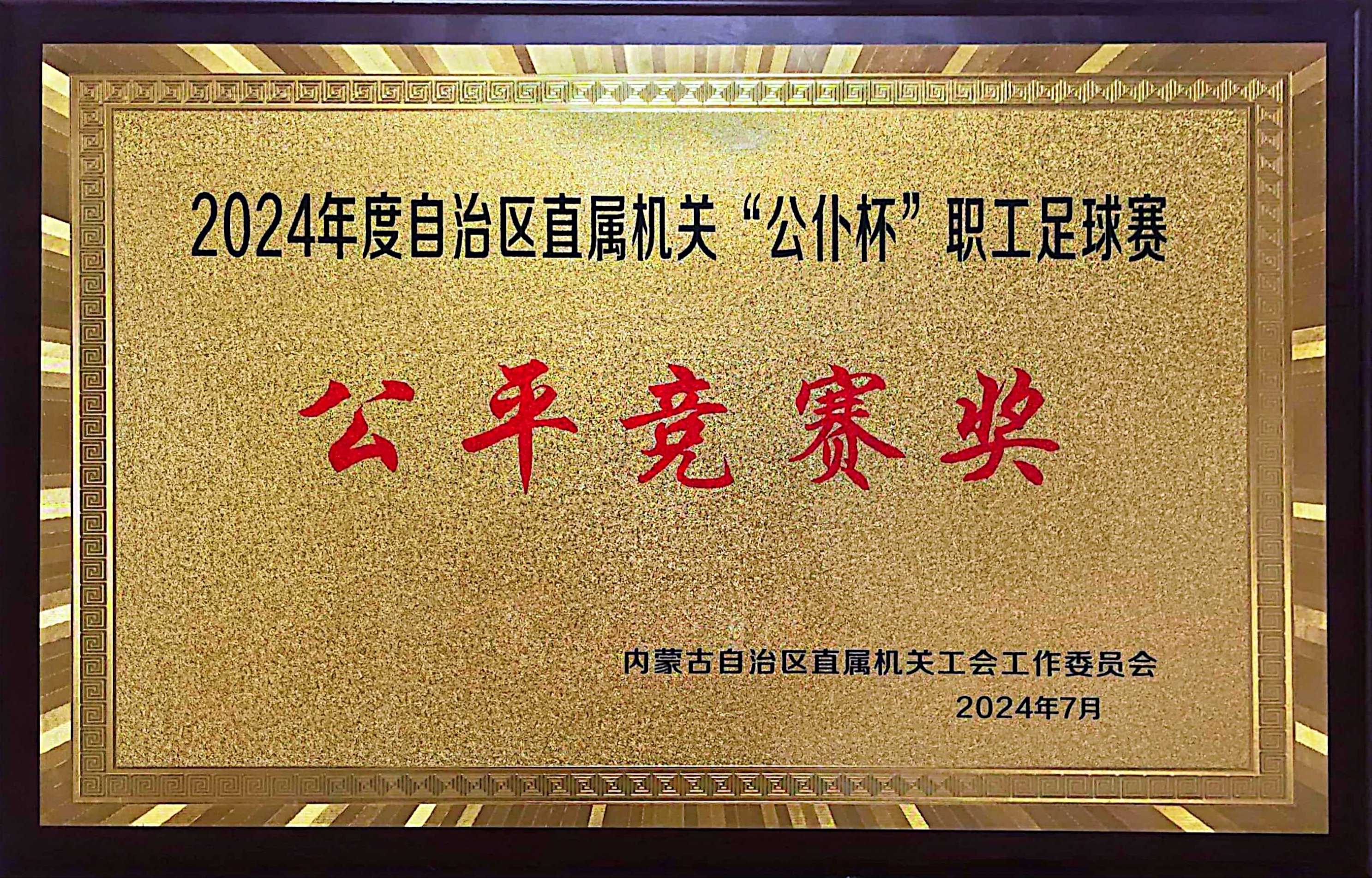 创历史佳绩——自治区统计局在2024年度“公仆杯”职工足球赛获得两项奖励2.png