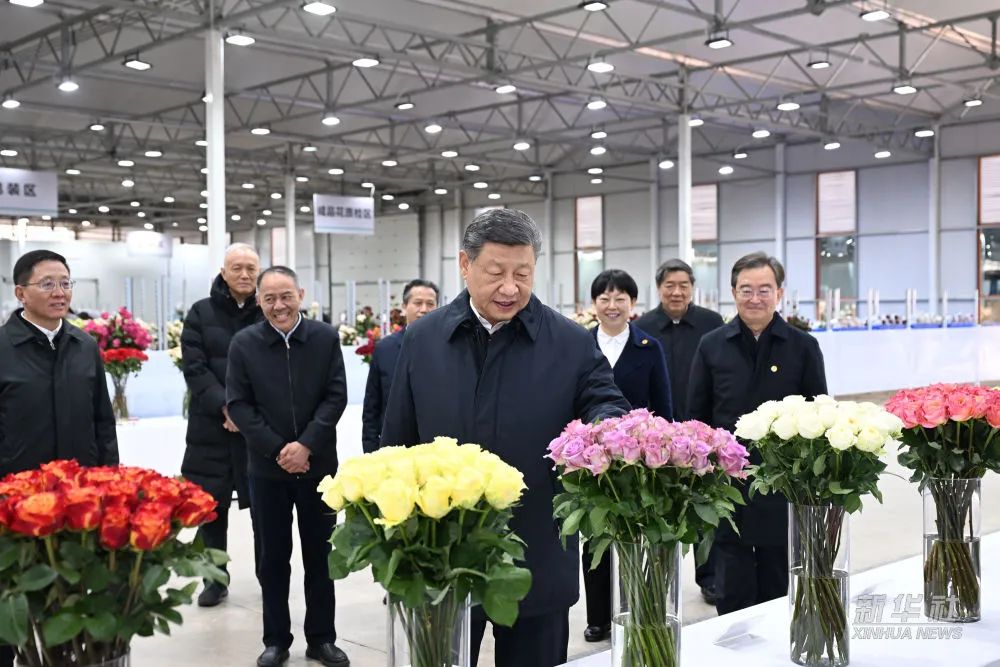 丽江1.jpg