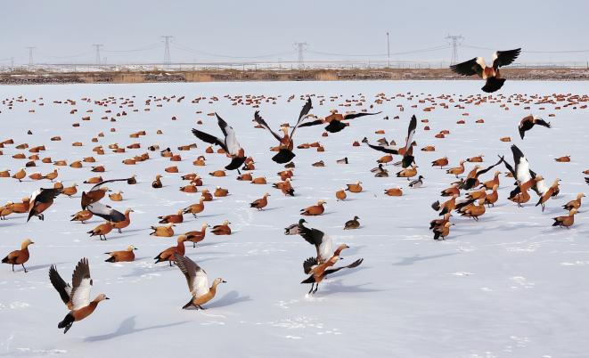 6384430008924439003956617.png 6384430008924439003956617.png