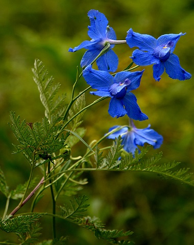 2015082604334627164323.jpg 2015082604334627164323.jpg