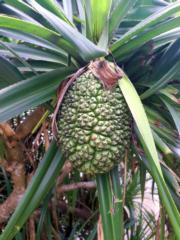 202404161547100 (1).jpg 202404161547100 (1).jpg