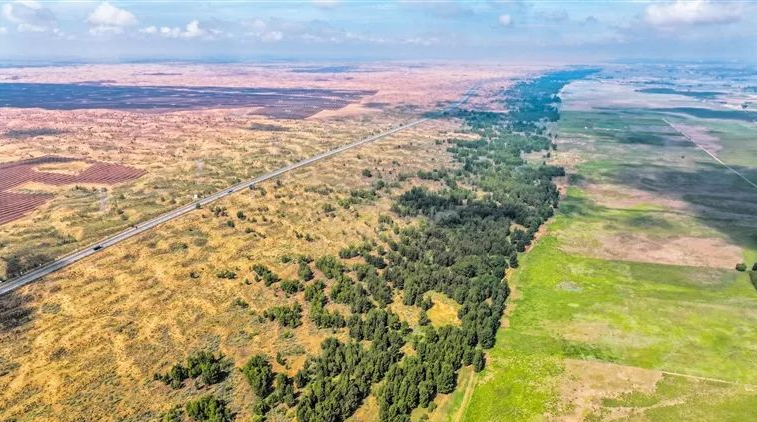 11111112222.png 11111112222.png