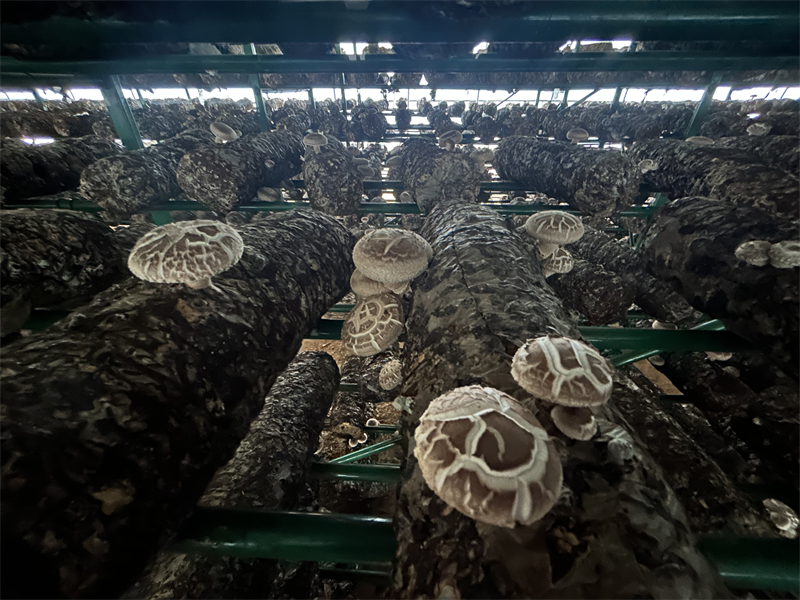 推动高质量发展6.png 推动高质量发展6.png