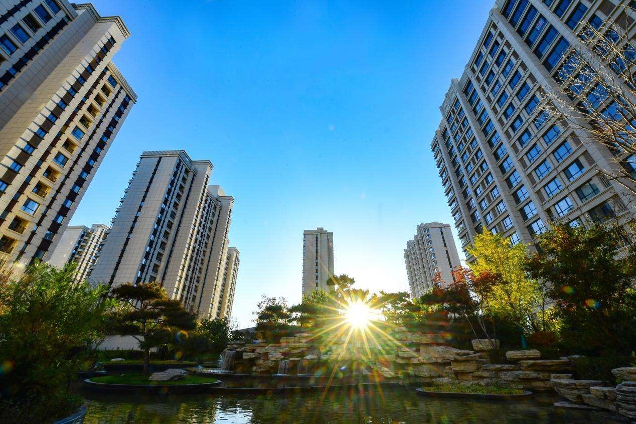 1.13-2.jpg 1.13-2.jpg